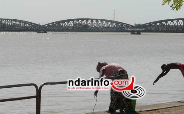 NOYADE A SAINT-LOUIS : un corps a été retrouvé, ce matin. L'homme qui s'est jeté dans le fleuve était malade.