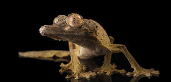 Une expérience dans l'espace tourne mal