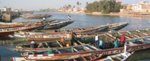 SAINT-LOUIS, la décadence