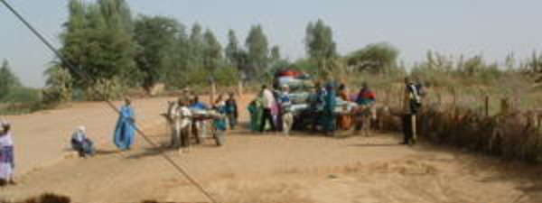 L’Ile à Morphil : le terroir des paradoxes et du désespoir