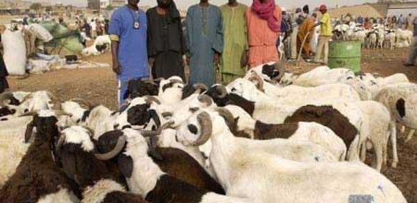 COÏNCIDENCE DE LA TABASKI ET DE LA RENTRÉE SCOLAIRE: le casse-tête chinois des pères de famille.