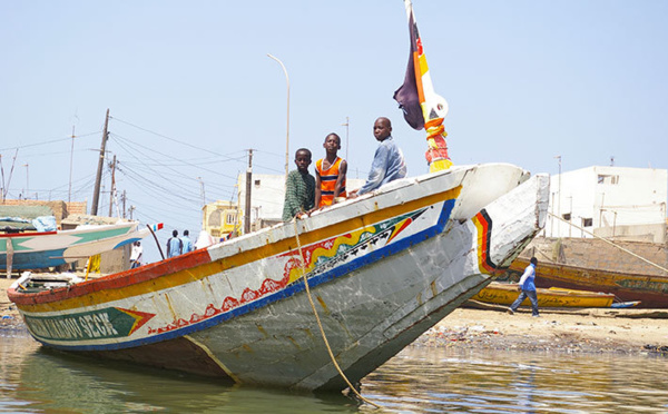  Thalassa sur France 3: De la Casamance à Saint-Louis, du Sud au Nord, découverte du Sénégal au rythme des bateaux et des pirogues