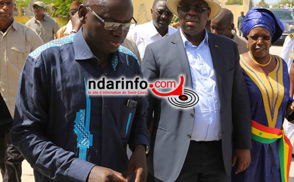 Samba KANTE DG de la SAED: " Nous avons enregistré des records en terme d’emblavure, de production, et des rendements"