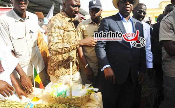 Tournée économique de Macky Sall dans la vallée du fleuve : Éleveurs et riziculteurs demandent un accompagnement de l’État