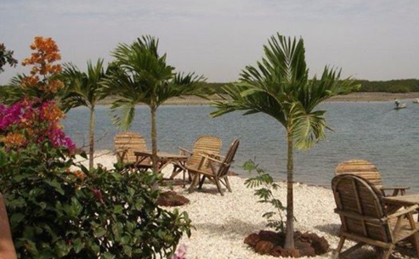 Tourisme : le malheur des uns fait le bonheur des autres. Par Mouhamed Faouzou DEME