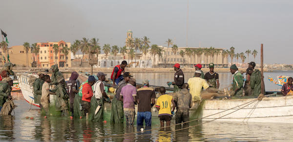 Affrontements à Kayar : leurs proches ciblés, les pêcheurs de Guet-Ndar entrent dans une colère noire.