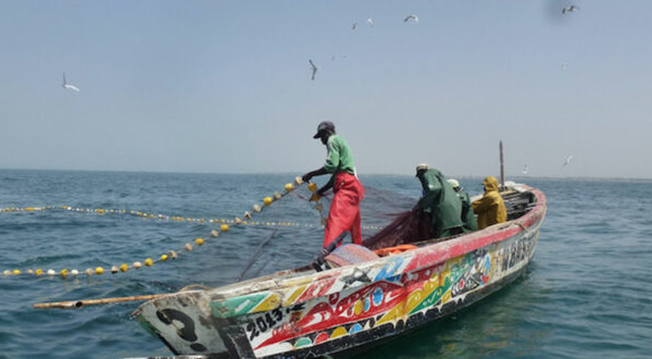 Affrontements à Kayar : le corps de Lamine Niang retrouvé