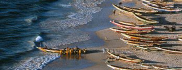 Le manque à gagner de la pêche illégale au Sénégal