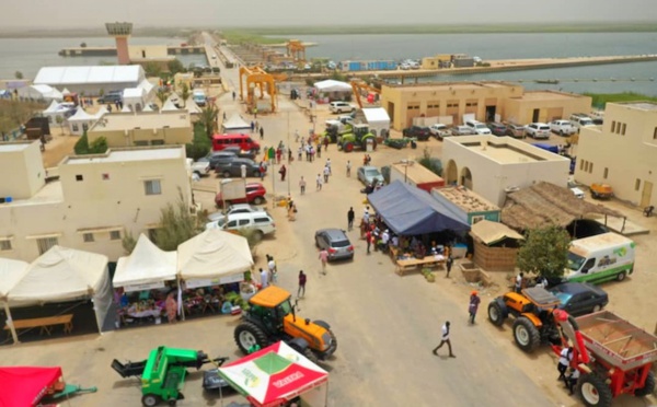​Valorisation des productions agricoles : la FIAN 2023 veut susciter plus d’engouement