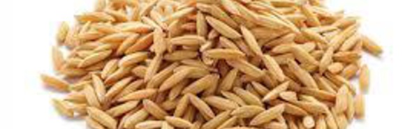 COMMERCIALISATION DU RIZ: Le prix du paddy fixé à 120 FCFA le Kilo.