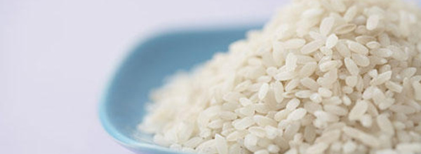 SAINT-LOUIS: La BNDE va financer l'achat de 8000 t de riz.