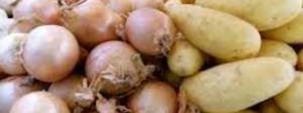 ARRET SUR L’IMPORTATION DE L’OIGNON ET DE LA POMME DE TERRE : Les explications de l’ ARM