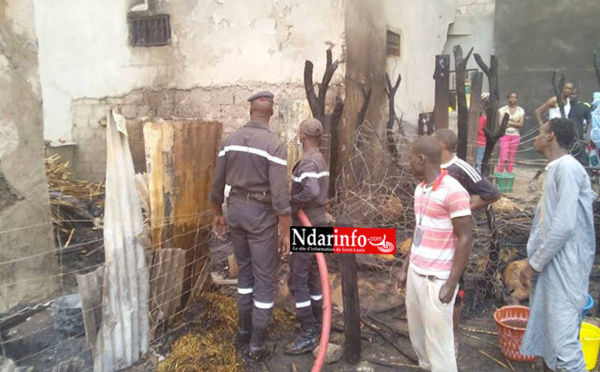 SAINT-LOUIS - GRAVE INCENDIE À BANGO: du bétail calciné (photos)