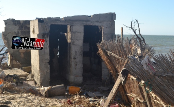 SAINT-LOUIS : la mer ravage des concessions à Goxu Mbacc.