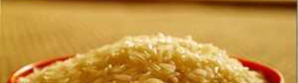 La SAED annonce une production record de 430 000 tonnes de riz