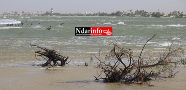 Le Sénégal et la montée des eaux : une erreur humaine accentuée par les changements climatiques