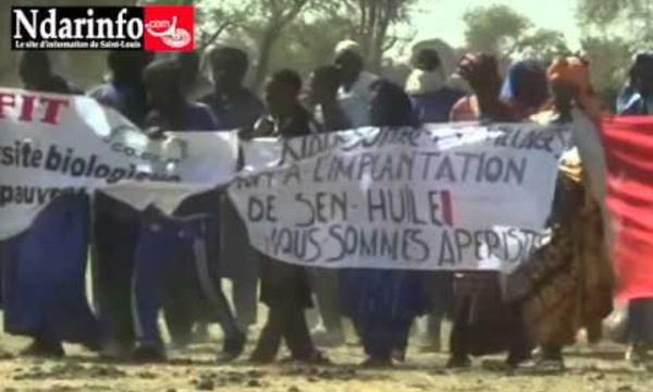 GROGNE CONTRE SENHUILE: Après des éléveurs, des employés marchent (audio)