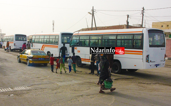 Enfin, les bus roulent.