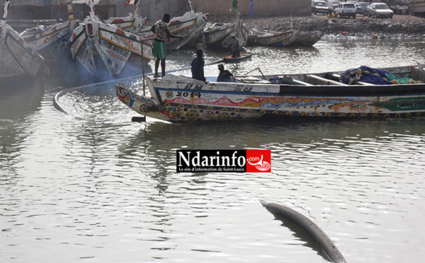 ALERTE : les piroguiers heurtent la conduite d’eau de Guet-Ndar (photos)