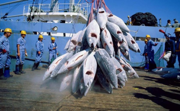 Licences de pêche : une grosse nébuleuse exhumée par l'Ofnac