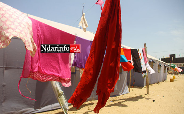 ENTRE SOUFFRANCES ET DÉSESPÉRANCE : la Misère torture les Sinistrés de Goxu Mbacc (Reportage)