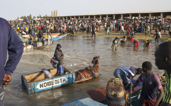 Lutte contre la migration clandestine : les habitants de Mbour Teffess déclarent la guerre aux passeurs