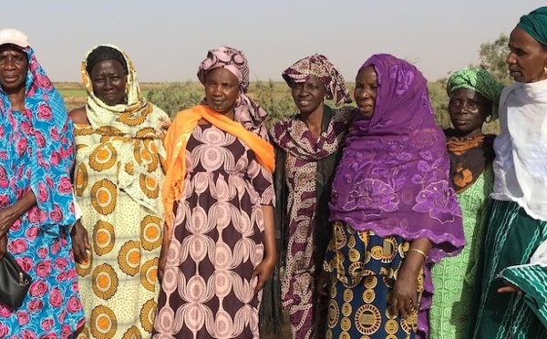 Campagne agricole 2024/2025 : une part conséquente du financement accordée aux femmes