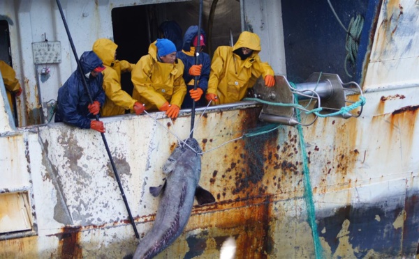 Lutte contre la Pêche illicite : un " carton jaune " adressé au régime de Macky SALL
