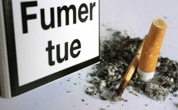 Journée mondiale de lutte contre le tabac : l’Oms annonce une baisse drastique de la prévalence