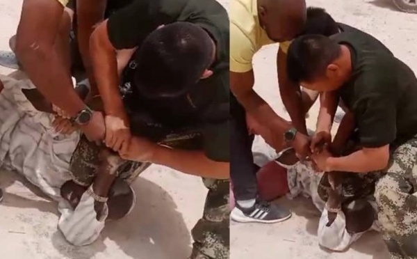 Genou sur le cou d’un employé : Les 2 Chinois et leur interprète sénégalais en prison