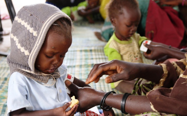 Un taux de malnutrition de 22% enregistré à Matam