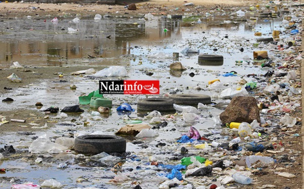 Saint-Louis : Pikine veut se doter d’un système de collecte des eaux usées