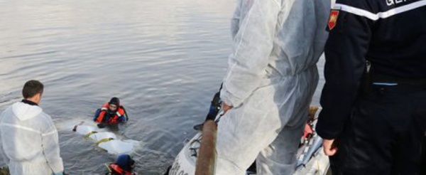 France : Une sénégalaise tuée et jetée dans la Seine