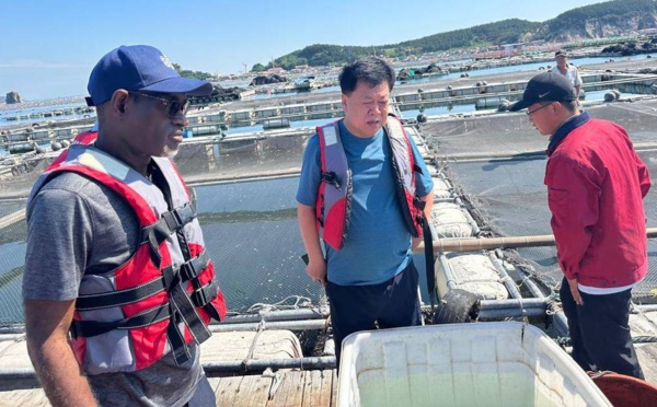 Sénégal : la région de Saint-Louis abritera un projet aquacole de 30 millions $
