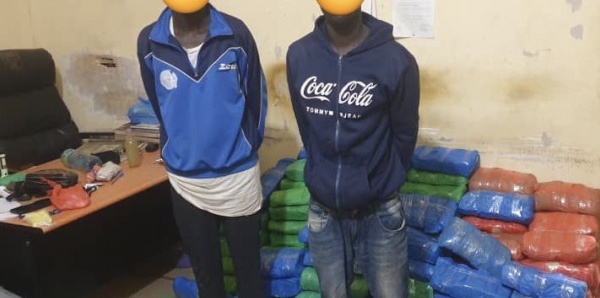 Karang : 2 dealers appréhendés avec 196 kg de chanvre indien