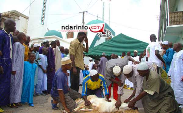 TABASKI 2015 – MOSQUÉE IHSANE : « le sacrifice d’Abraham est un viatique fort pour le musulman », rappelle Serigne Moustapha CISSE..