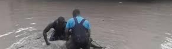 Chavirement d’une pirogue à Bignona : 3 enfants retrouvés sans vie