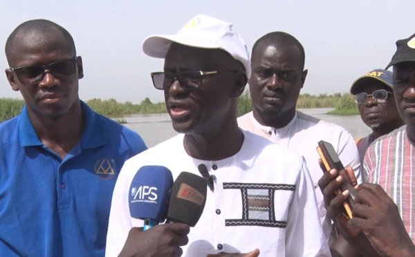 ​Cherté de l’électricité : Alassane BA, le Dg de la SAED, annonce une bonne nouvelle aux producteurs de Dagana