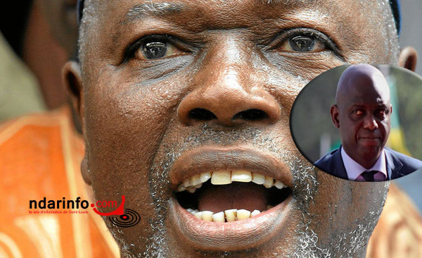 Sidéré par les ordures, ALIOUNE TINE, crie : « où est le maire de Saint-Louis ? »