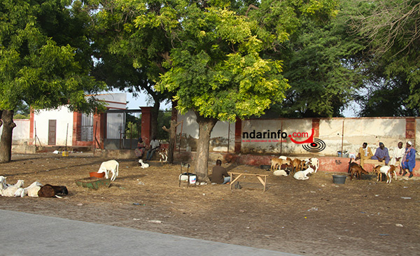 BLOCAGE DES CIMETIERES DE DAROU : le cri de cœur des fidèles chrétiens de Saint-Louis (audio)