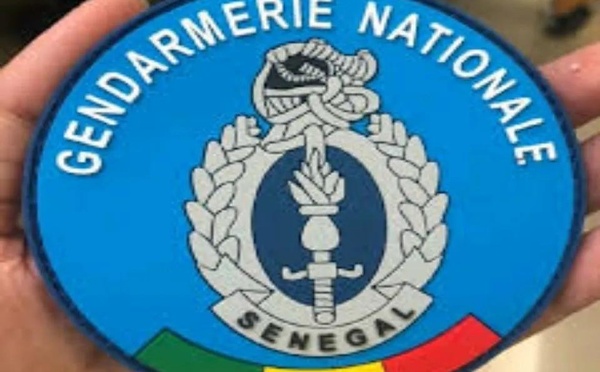 Affaire West african Energy : Ces noms dans le viseur des gendarmes