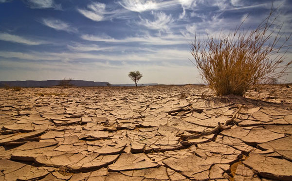 Changement climatique : La 8ème édition du Forum PRCM est lancée à Praia !