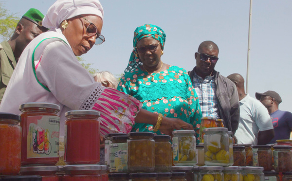 ​Réserve de Gueumbeul : Quarante femmes formées sur la conservation et la transformation des fruits et légumes