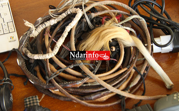 Saint-Louis : quand les « ndomba » trahissent leurs abonnés.