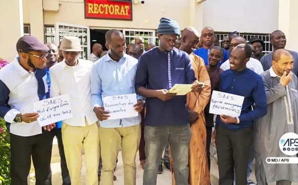 Université : Le SAES en grève de 48 heures pour exiger l'application d'un décret sur les pensions de retraite