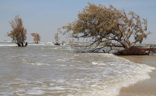 COP21: 10 vidéos pour comprendre les changements climatiques.