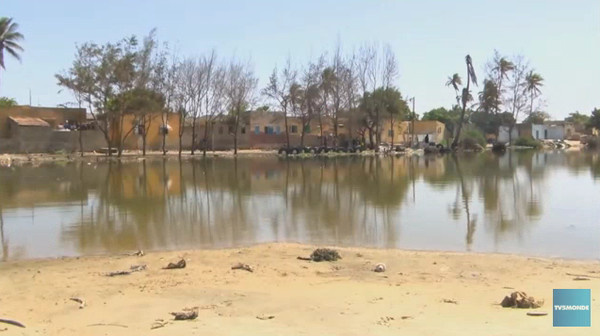 Sénégal : la Langue de Barbarie en danger (vidéo)