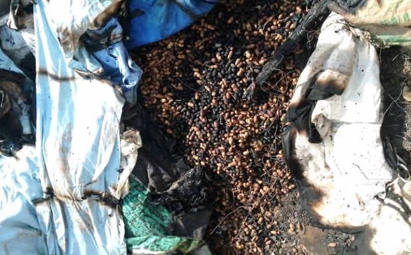 Linguère : des voleurs incendient la maison de l’Imam après une tentative de vol échouée