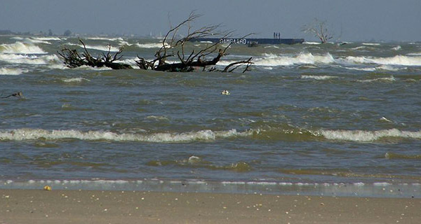 Sénégal: un comité de pilotage mis en place pour la brèche de Saint-Louis (ministre)