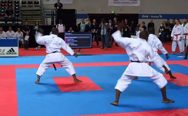 Scandale à la Fédération de Karaté : plusieurs dirigeants en garde à vue